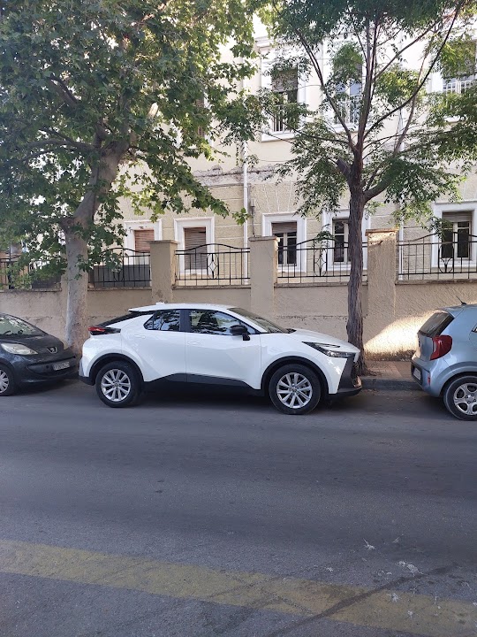 Record go Mobility- Rodas