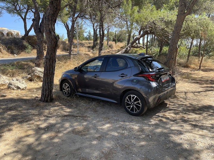 Record go Mobility- Rodas