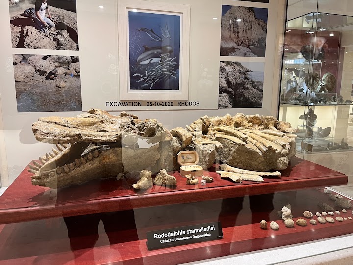 Μουσείο Σταματιάδη Ορυκτολογίας και Παλαιοντολογίας