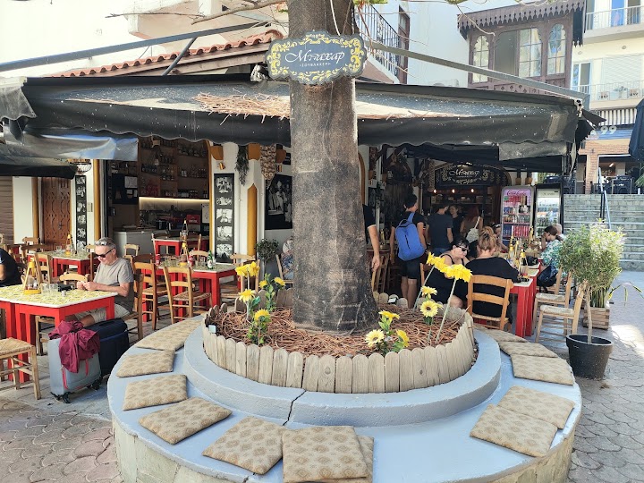 Bahar Souvlakeri
