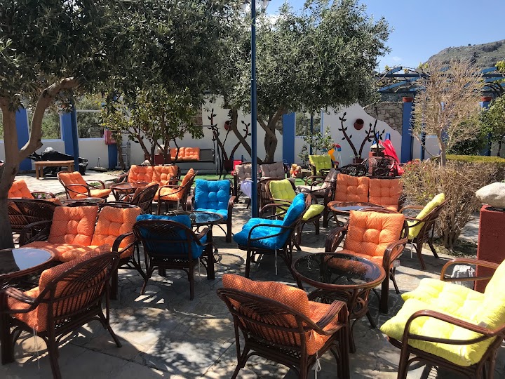 Olive Groves Ελαιώνας Family Greek Bar Restaurant