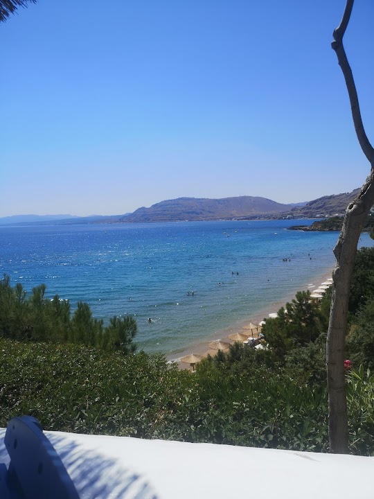 Watch our Philosophia Beach Restaurant review