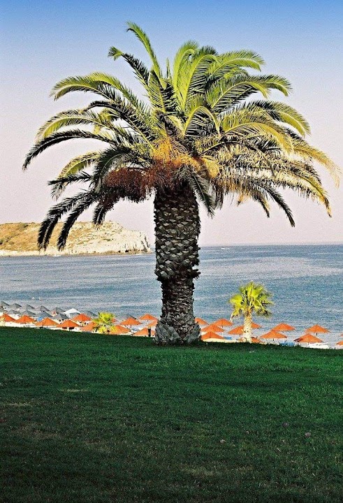 Kolymbia Beach - Atlantica Resort