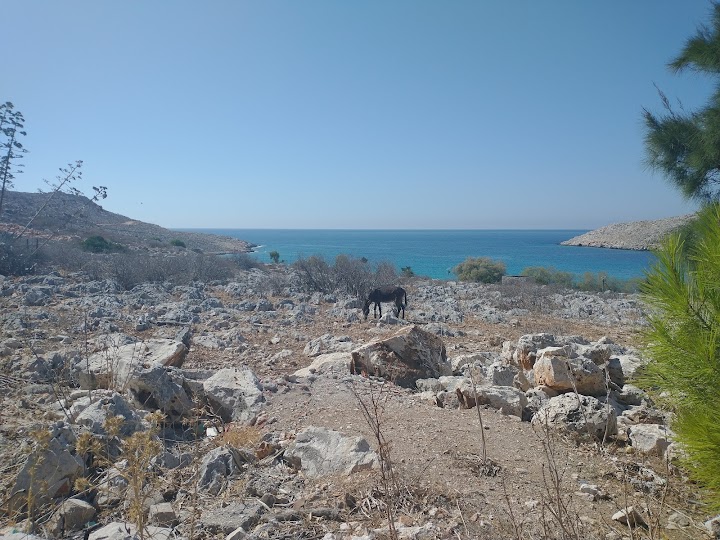 Watch our Pondamos Beach review