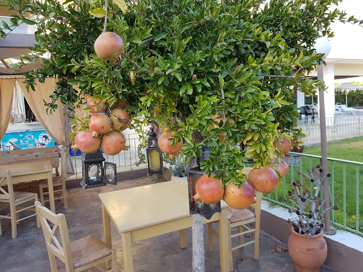 George Cars Rent a Car Rhodes - Lardos - Lindos