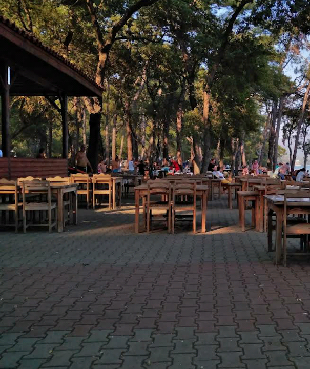 Çubucak Forest Camp