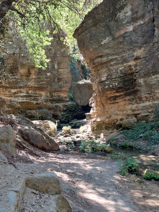 Πάρκο Ροδίνι