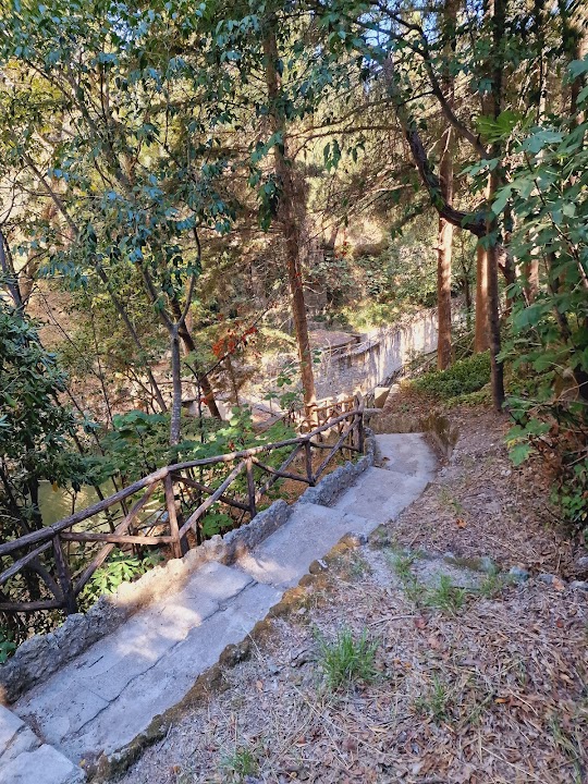 Πάρκο Ροδίνι