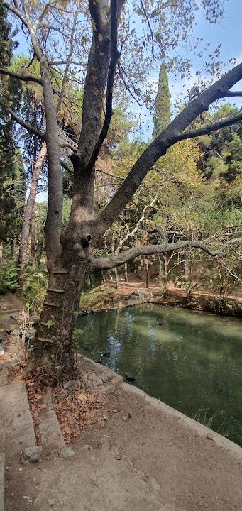 Πάρκο Ροδίνι