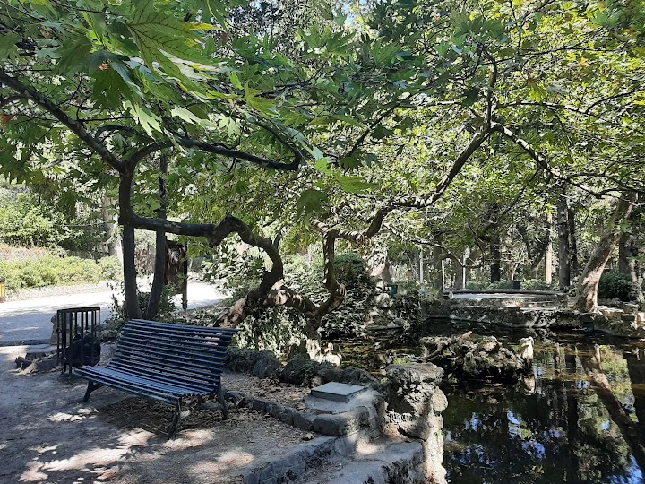 Πάρκο Ροδίνι